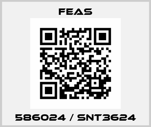 586024 / SNT3624 Feas