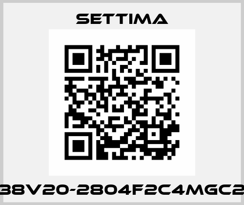 D38V20-2804F2C4MGC2B Settima