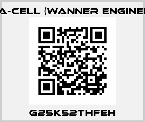 G25K52THFEH Hydra-Cell (Wanner Engineering)