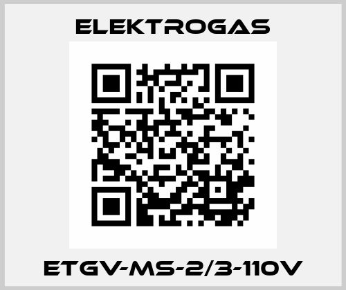 ETGV-MS-2/3-110V Elektrogas