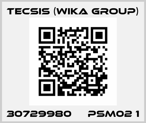 30729980     PSM02 1 Tecsis (WIKA Group)