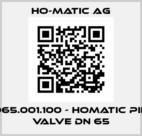 43065.001.100 - HoMatic pinch valve DN 65 Ho-Matic AG