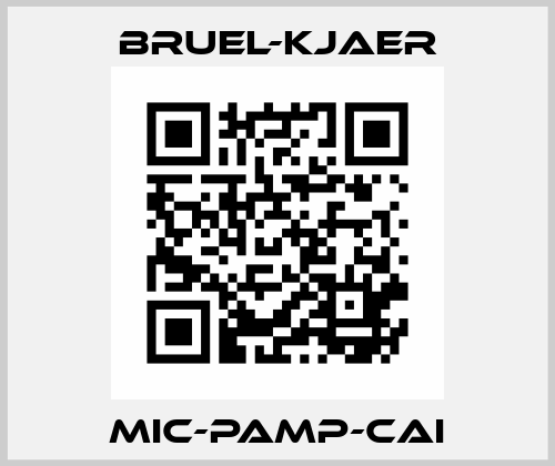 MIC-PAMP-CAI Bruel-Kjaer