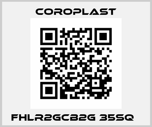 FHLR2GCB2G 35sq　 Coroplast