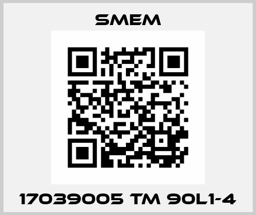 17039005 TM 90L1-4 Smem