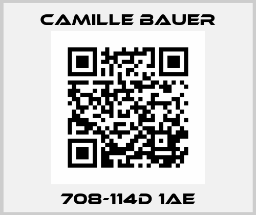 708-114D 1AE Camille Bauer