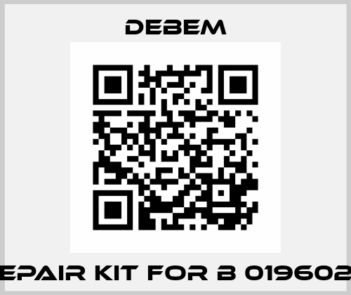 Repair kit for B 0196028 Debem