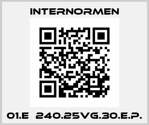 01.E  240.25VG.30.E.P. Internormen