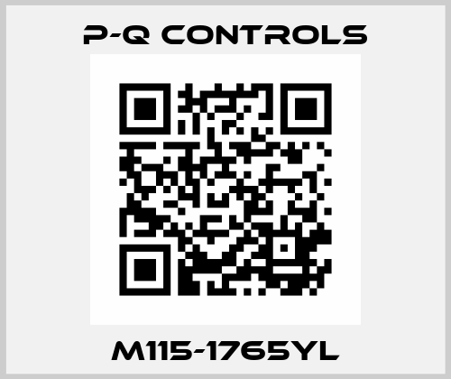 M115-1765YL P-Q Controls