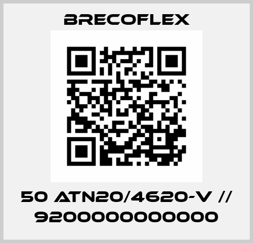 50 ATN20/4620-V // 9200000000000 Brecoflex