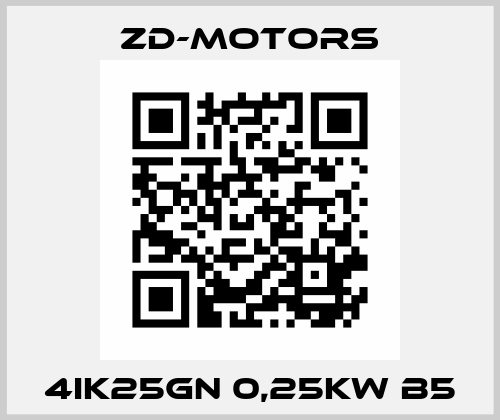 4IK25GN 0,25kW B5 ZD-Motors