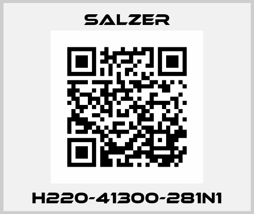 H220-41300-281N1 Salzer