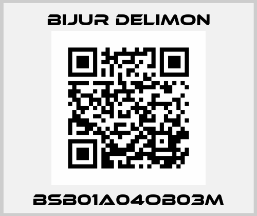 BSB01A04OB03M Bijur Delimon