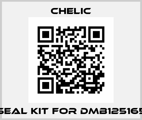 seal kit for DMB125165 Chelic