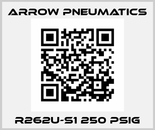 R262U-S1 250 PSIG Arrow Pneumatics