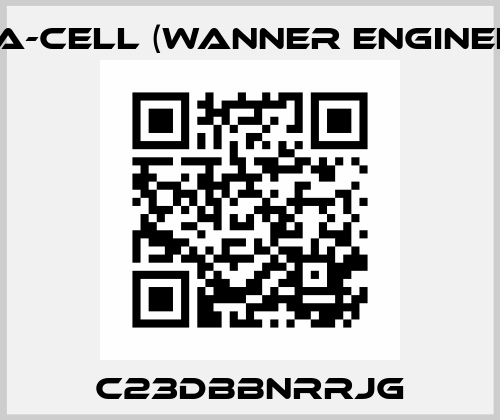C23DBBNRRJG Hydra-Cell (Wanner Engineering)