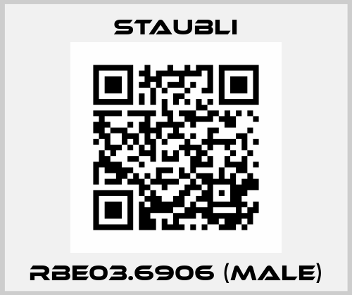 RBE03.6906 (male) Staubli