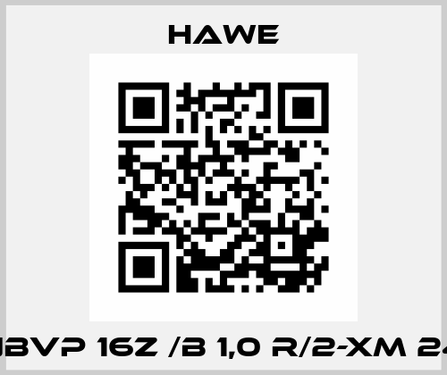 NBVP 16Z /B 1,0 R/2-XM 24 Hawe