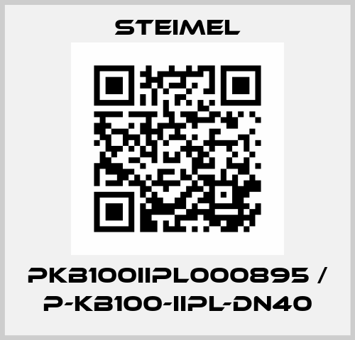 PKB100IIPL000895 / P-KB100-IIPL-DN40 Steimel