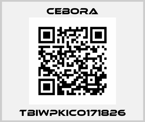TBIWPKICO171826 Cebora