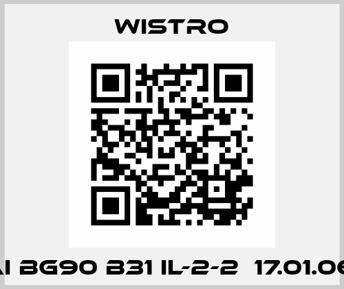 FLAI bg90 B31 IL-2-2  17.01.0648 Wistro