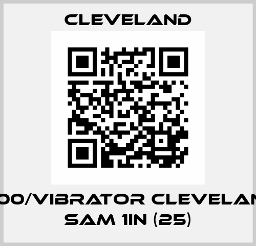 1260100/Vibrator Cleveland VC SAM 1in (25) Cleveland