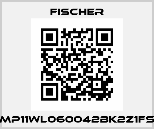 MP11WL060042BK2Z1FS Fischer