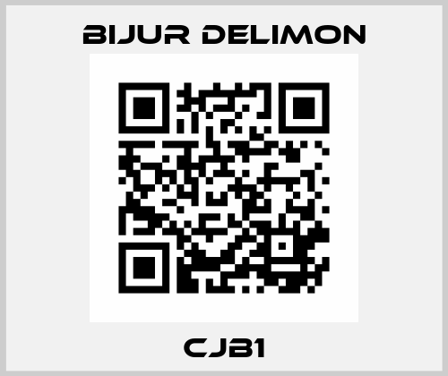 CJB1 Bijur Delimon
