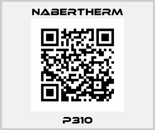 P310 Nabertherm