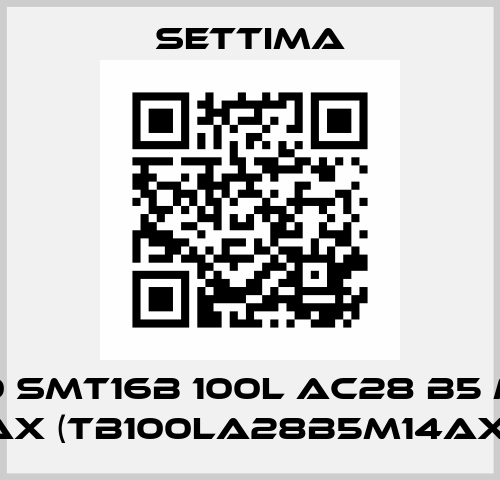 GR40 SMT16B 100L AC28 B5 M1 1/4 AX (TB100LA28B5M14AX) Settima