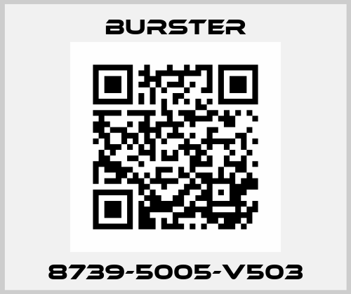 8739-5005-V503 Burster