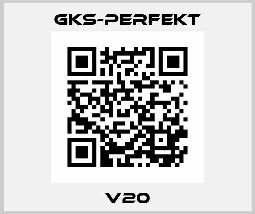 V20 GKS-Perfekt