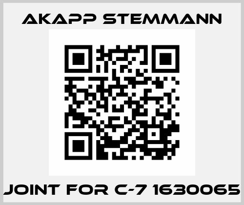 joint for C-7 1630065 Akapp Stemmann