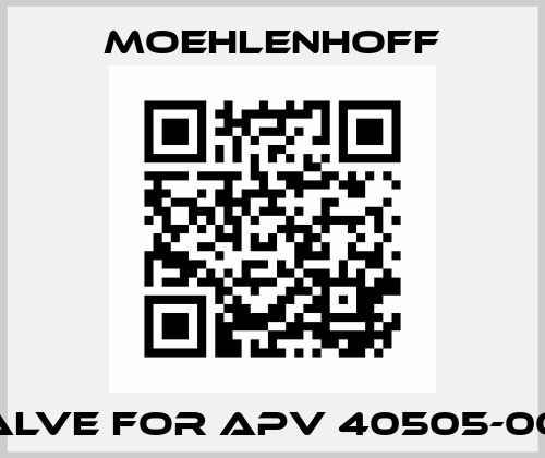 valve for APV 40505-00N Moehlenhoff