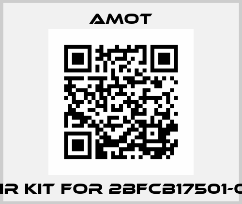 repair kit for 2BFCB17501-00-AA Amot