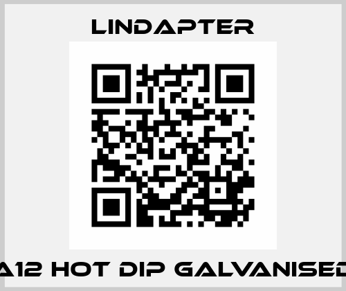 A12 hot dip galvanised Lindapter