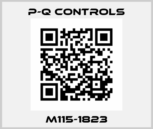 M115-1823 P-Q Controls