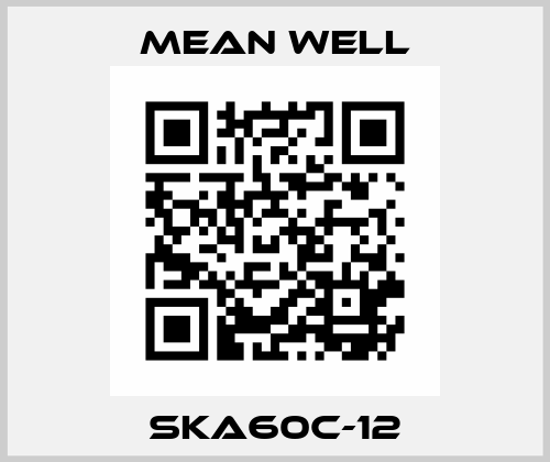 SKA60C-12 Mean Well