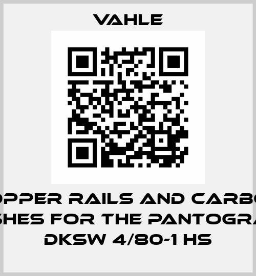 copper rails and carbon brushes for the pantographs DKSW 4/80-1 HS Vahle