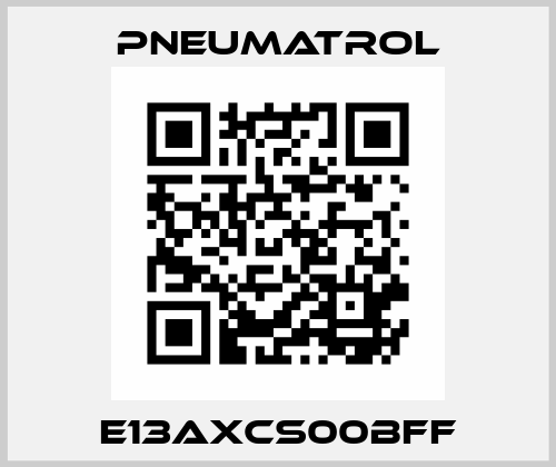 E13AXCS00BFF Pneumatrol