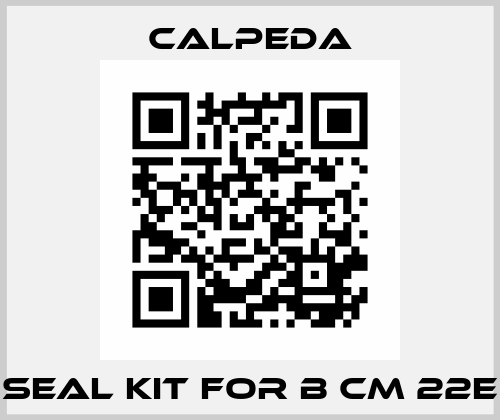 seal kit for B CM 22E Calpeda
