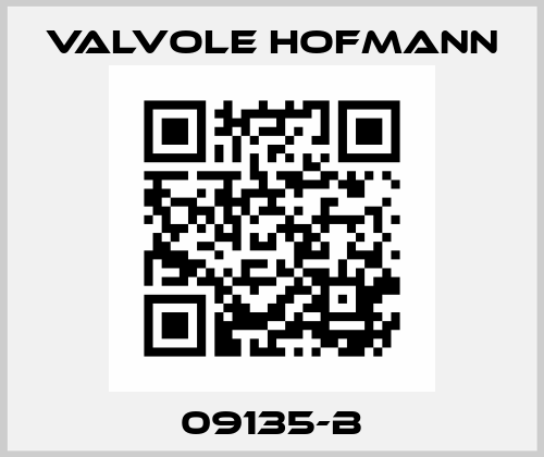 09135-B Valvole Hofmann