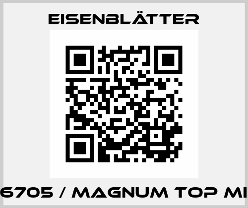 96705 / MAGNUM Top Mix Eisenblätter