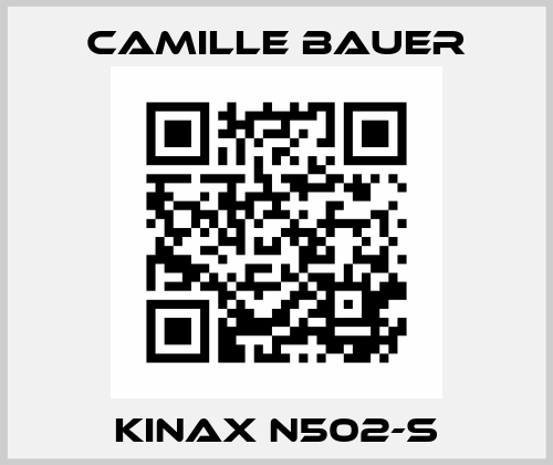 KINAX N502-S Camille Bauer