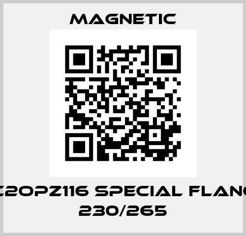 DC2OPZ116 SPECIAL FLANGE 230/265 Magnetic