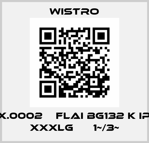 17.1X.0002    FLAI Bg132 K IP66 xxxlg      1~/3~ Wistro
