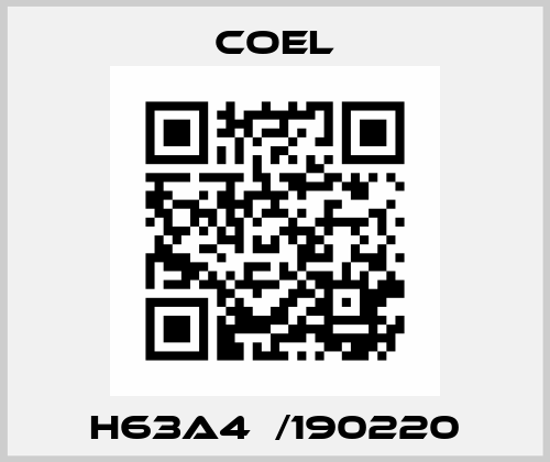 H63A4  /190220 Coel