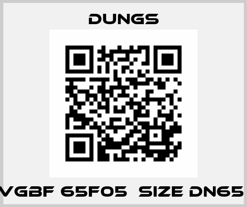 VGBF 65F05  size DN65  Dungs