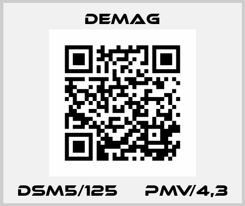 DSM5/125     PMV/4,3 Demag