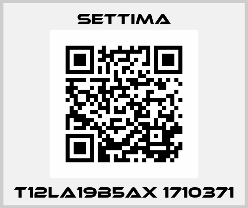 T12LA19B5AX 1710371 Settima